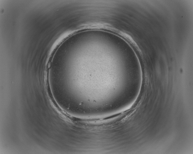 X0000064751424200602131215