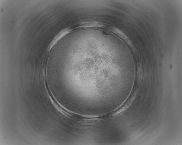 X0000064751425200602131215