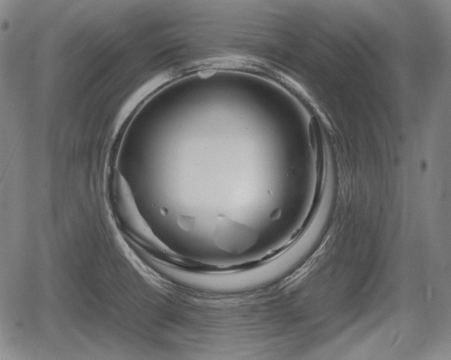 X0000064751426200602131215