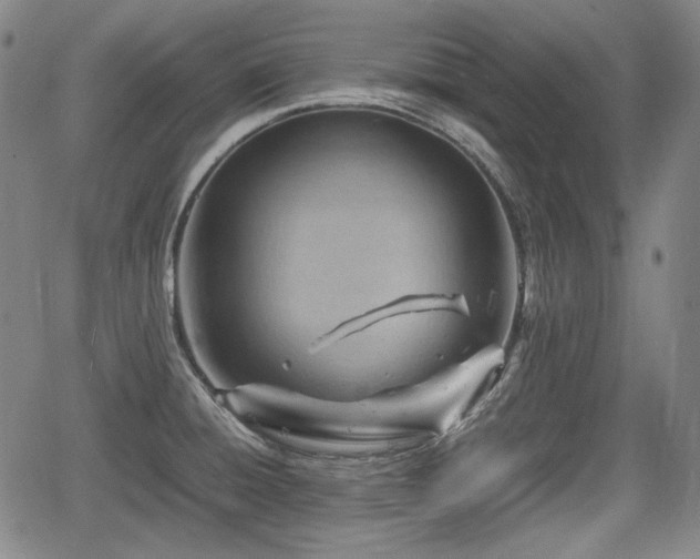 X0000064751428200602131215