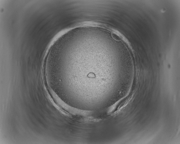 X0000064751429200602131215