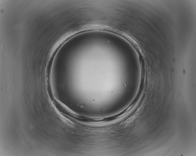 X0000064751430200602131215