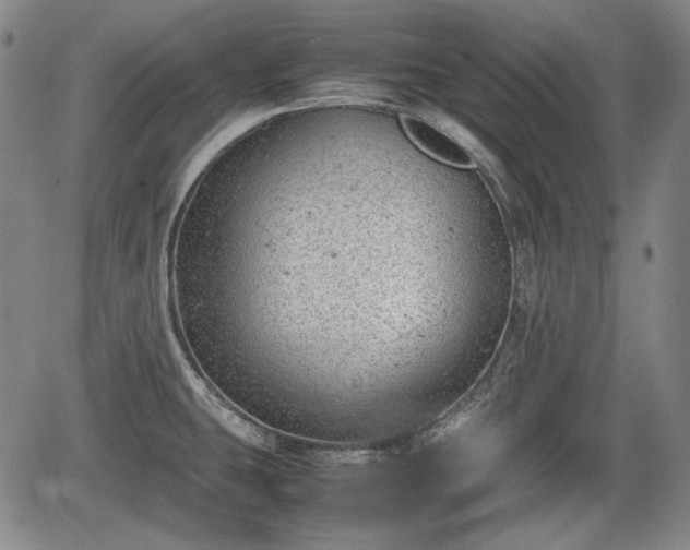 X0000064751431200602131215