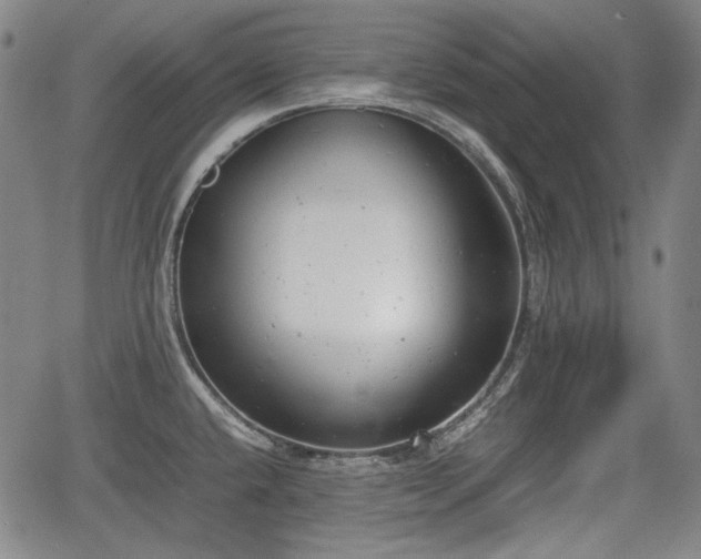 X0000064751432200602131215