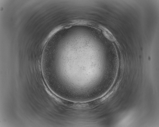 X0000064751433200602131215