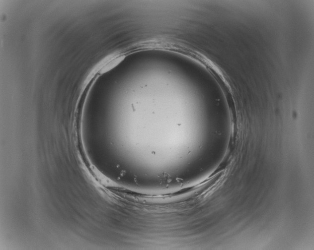 X0000064751434200602131215