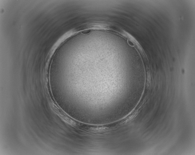 X0000064751435200602131215