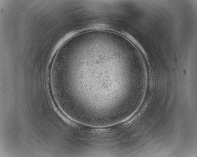 X0000064751437200602131215