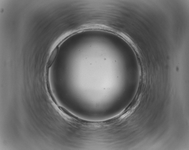 X0000064751438200602131215