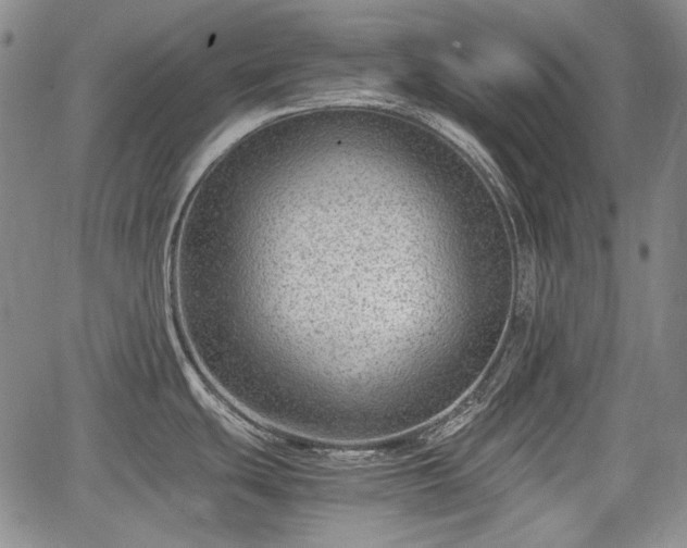 X0000064751439200602131215