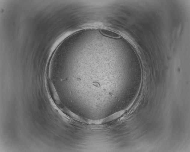 X0000064751440200602131215