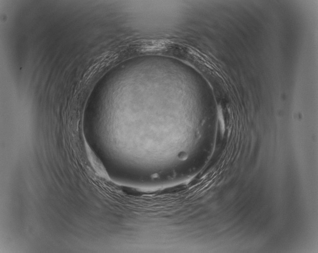 X0000064751441200602131215