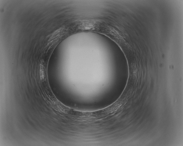 X0000064751442200602131215