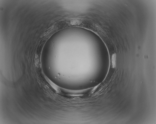 X0000064751443200602131215