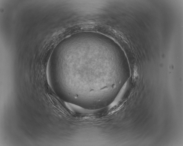 X0000064751445200602131215