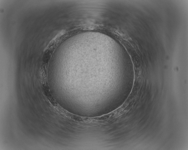 X0000064751446200602131215