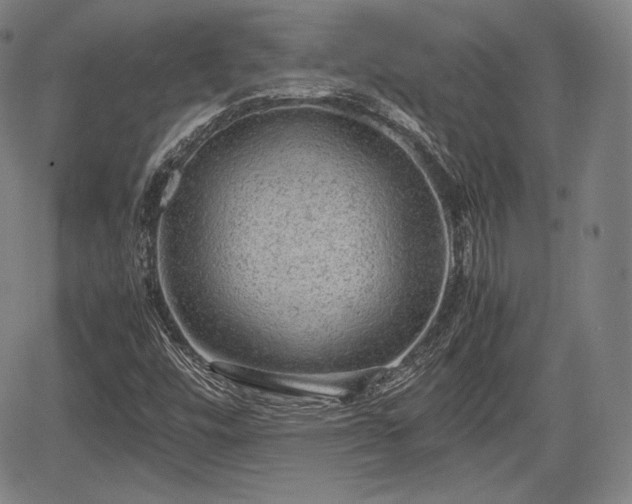 X0000064751448200602131214