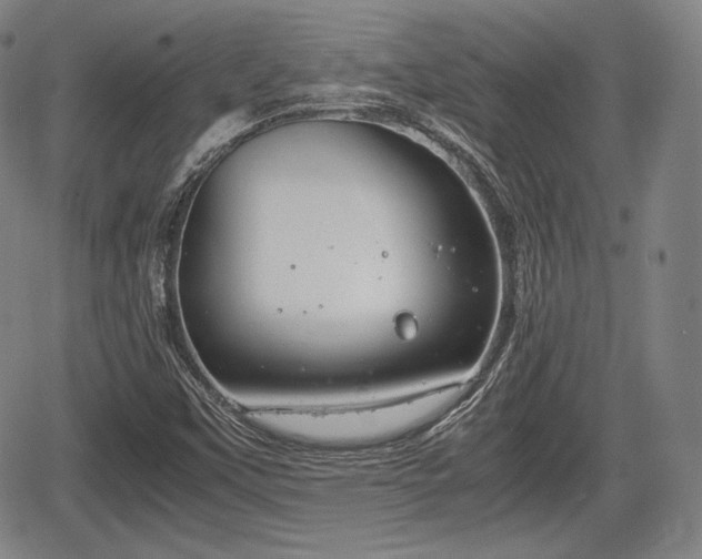 X0000064751451200602131214