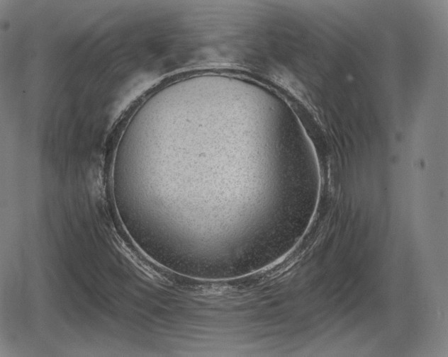 X0000064751452200602131214