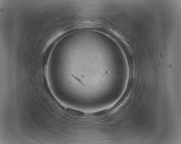 X0000064751453200602131214