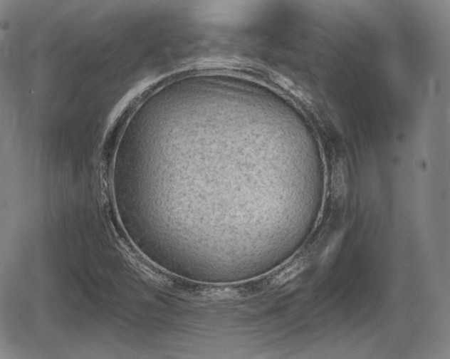 X0000064751454200602131214