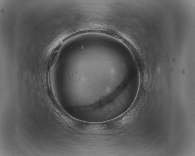 X0000064751455200602131214