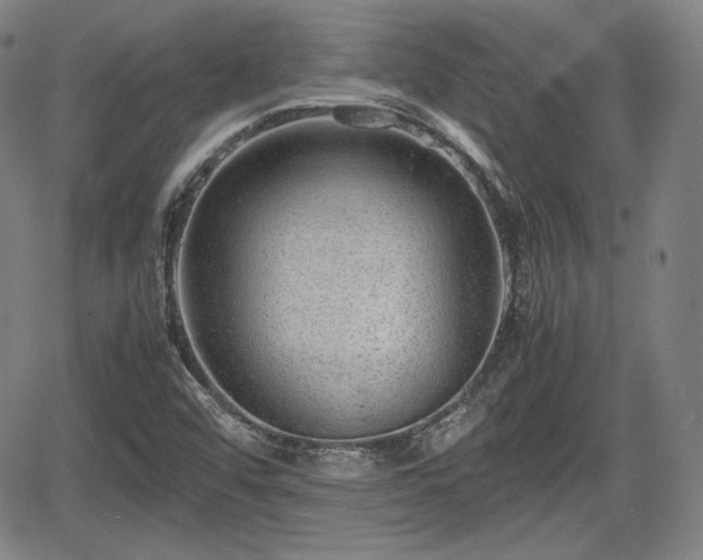 X0000064751456200602131214