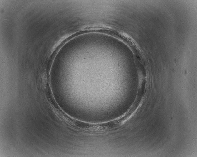 X0000064751457200602131214