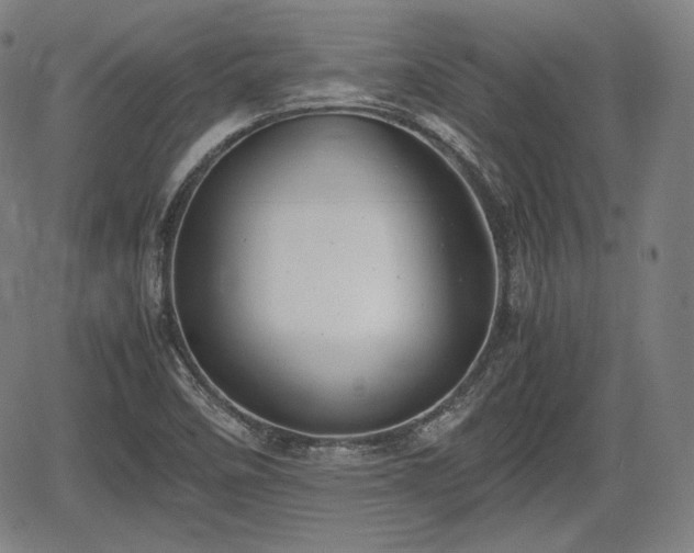 X0000064751458200602131214