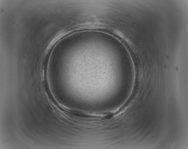 X0000064751459200602131214