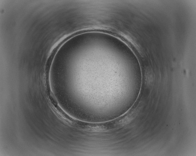 X0000064751460200602131214