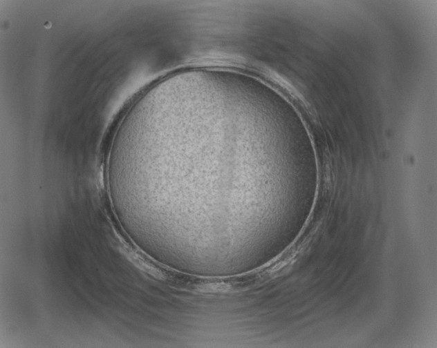 X0000064751462200602131214