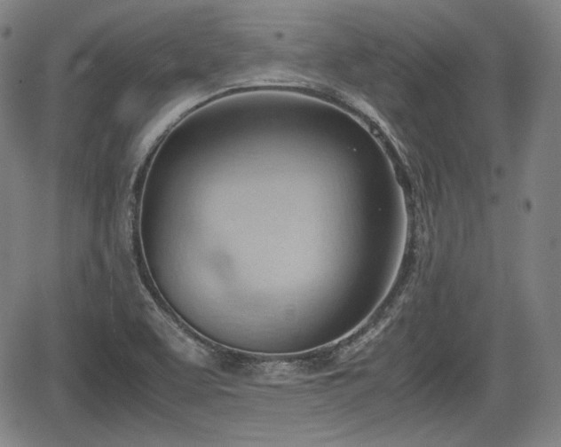 X0000064751463200602131214