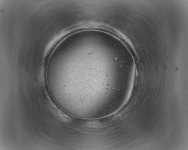 X0000064751464200602131214