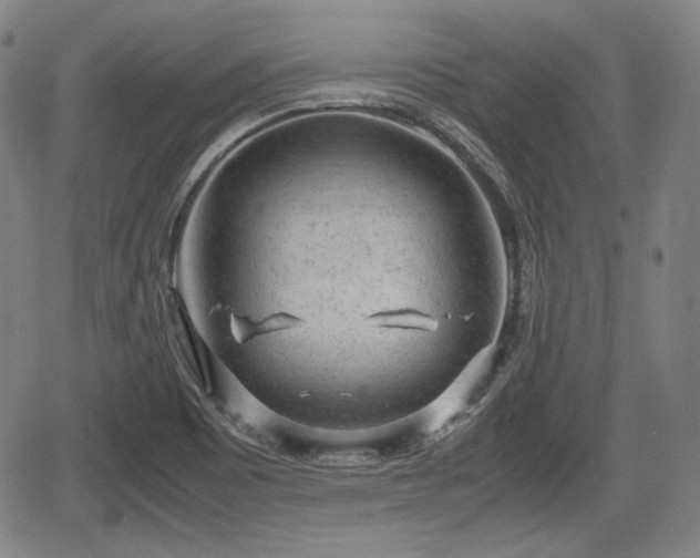 X0000064751465200602131214