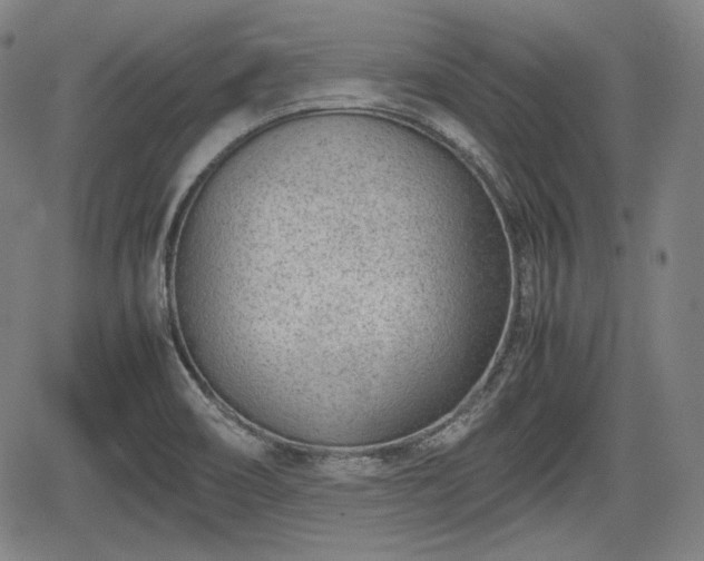 X0000064751466200602131214