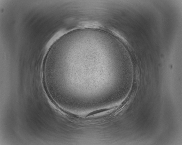 X0000064751471200602131214