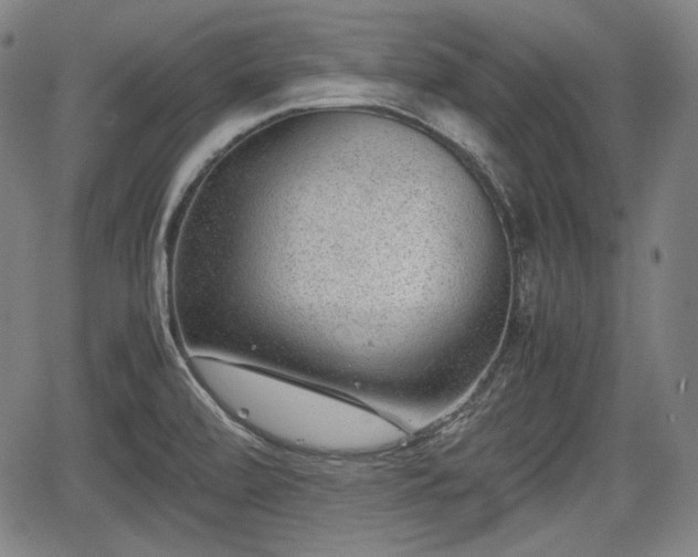 X0000064751472200602131214