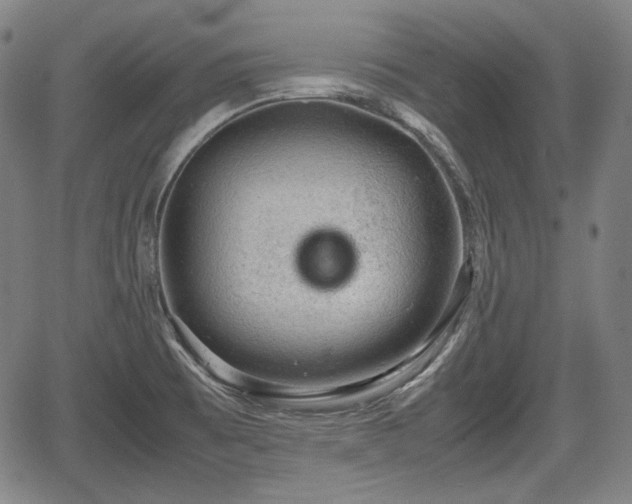 X0000064751473200602131214