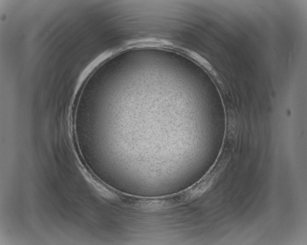 X0000064751474200602131214