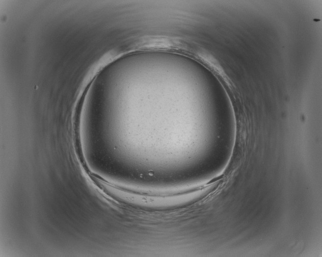 X0000064751475200602131214