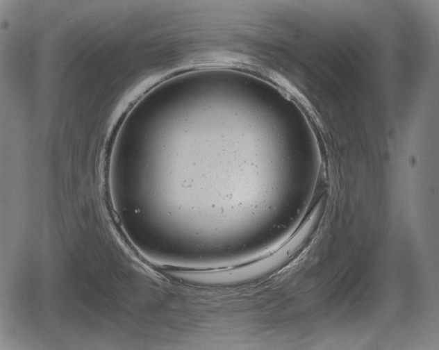 X0000064751477200602131214