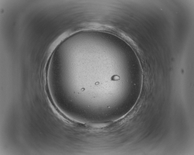 X0000064751479200602131214