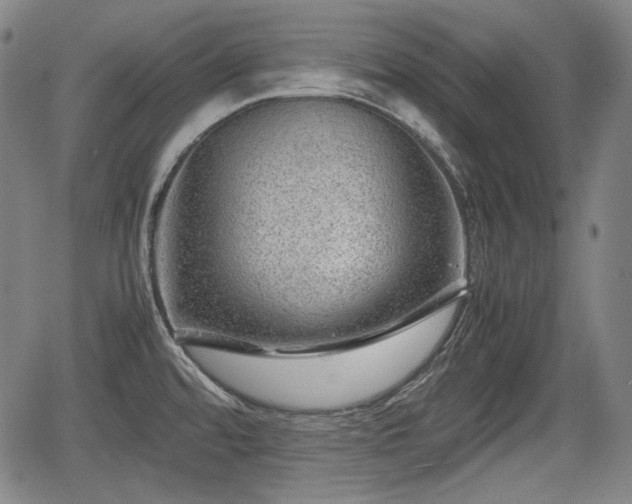 X0000064751480200602131214