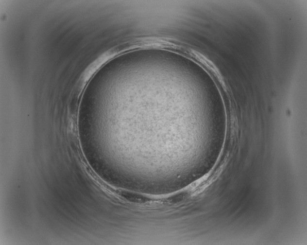 X0000064751481200602131214