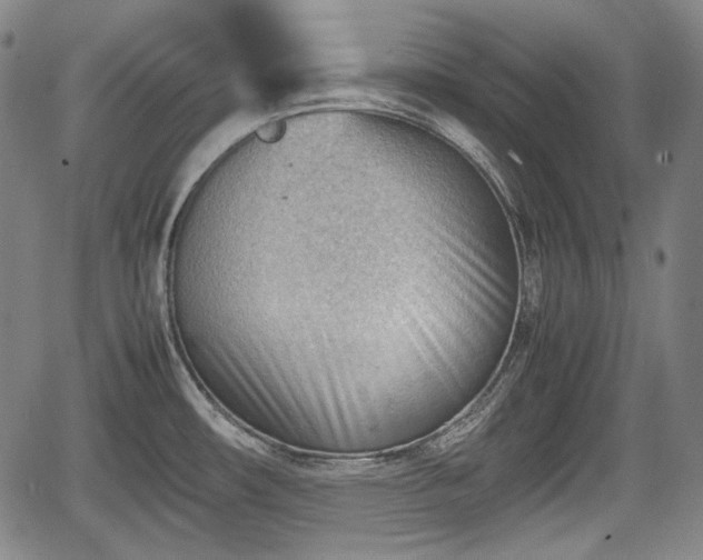 X0000064751482200602131214