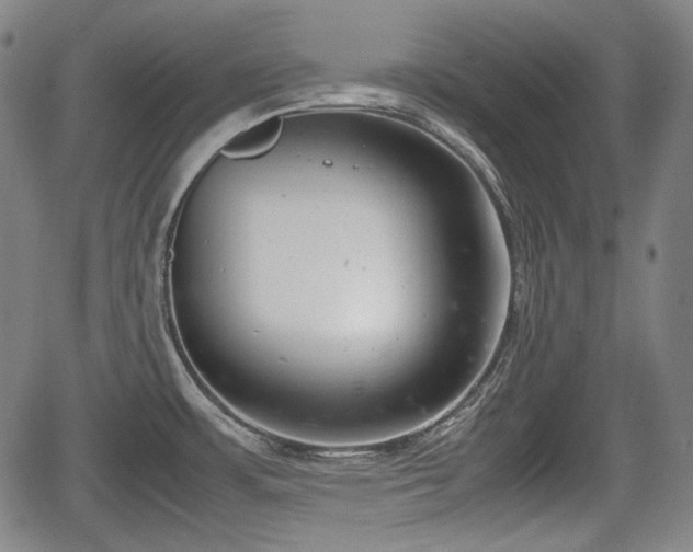 X0000064751483200602131214