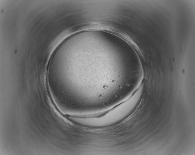 X0000064751484200602131214