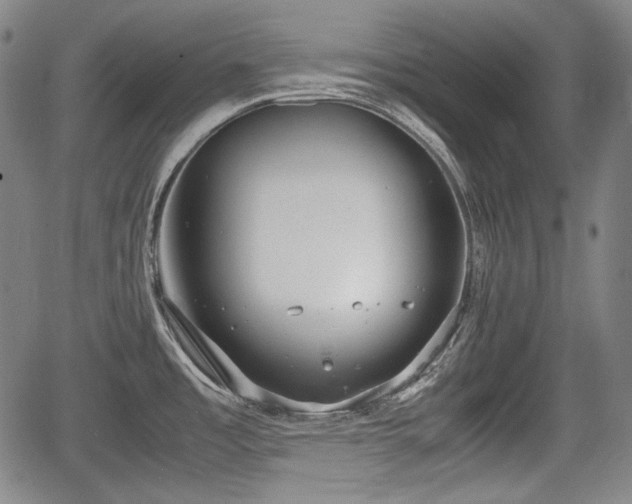 X0000064751485200602131214