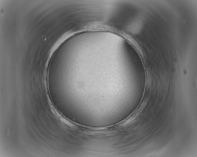 X0000064751486200602131214